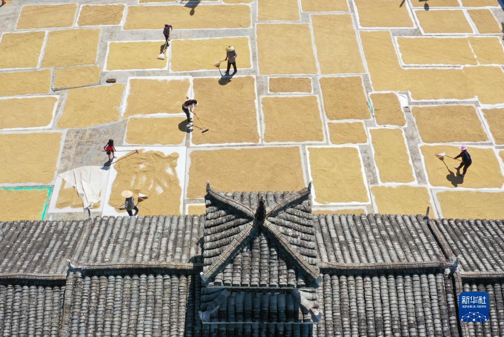 威斯尼斯人wns